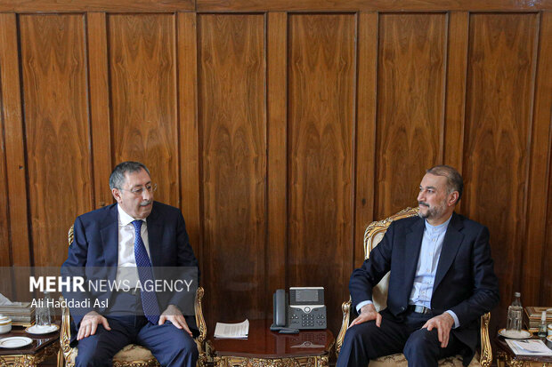 Amir-Abdollahian meets Azeri president's representative
