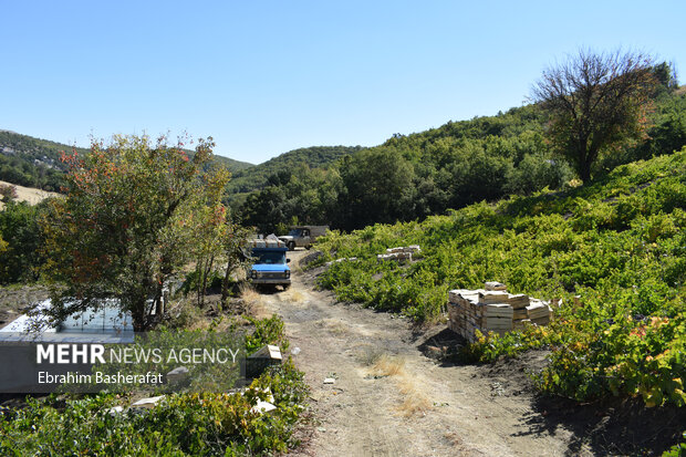 جاده های مناطق بهشتی گردشگری خوزستان بلاتکلیف و ناایمن