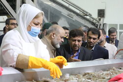 بازدید وزیر کشور از مرکز فرآوری میگو در بوشهر