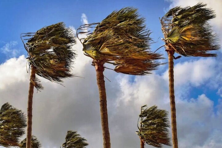افزایش سرعت وزش باد در استان بوشهر/ خلیج فارس متلاطم است
