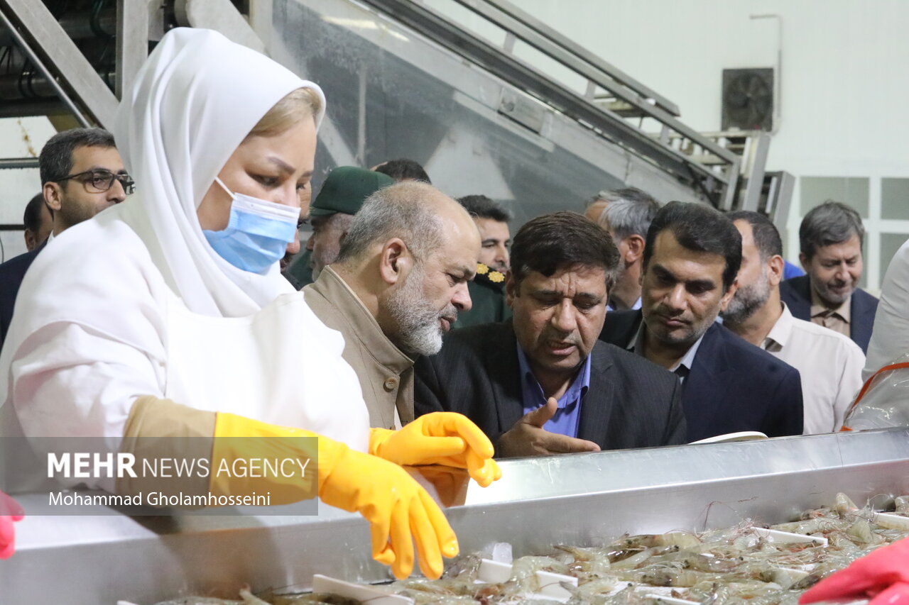 بازدید وزیر کشور از مرکز فرآوری میگو در بوشهر