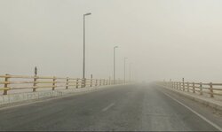 خیزش گردوخاک در استان بوشهر