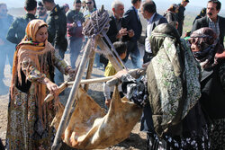 ECO ministers visiting Iran's city of Ardabil