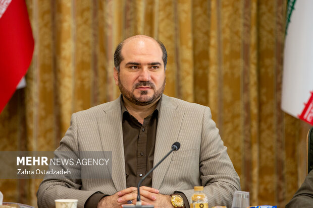  محسن منصوری معاون اجرایی رئیس جمهور در جلسه بررسی طرح‌های توسعه و پیشرفت استان کردستان حضور دارد