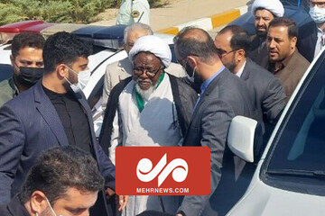تصاویری از ورود شیخ زکزاکی رهبر شیعیان نیجریه به تهران