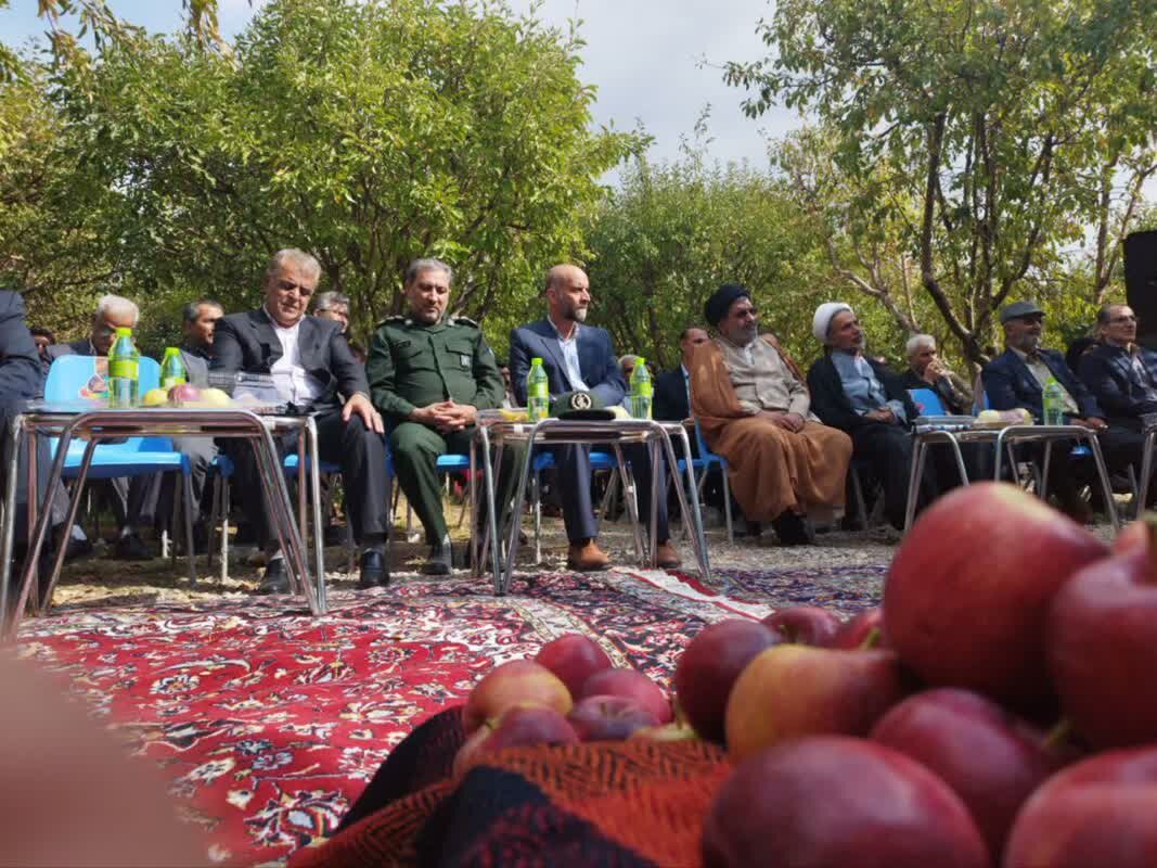 روی زرد«سیب سرخ» بروجرد/دست باغداران از بازار و سردخانه کوتاه است