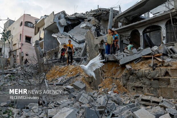 استمرار هجمات الكيان الصهيوني على شعب غزة المظلوم