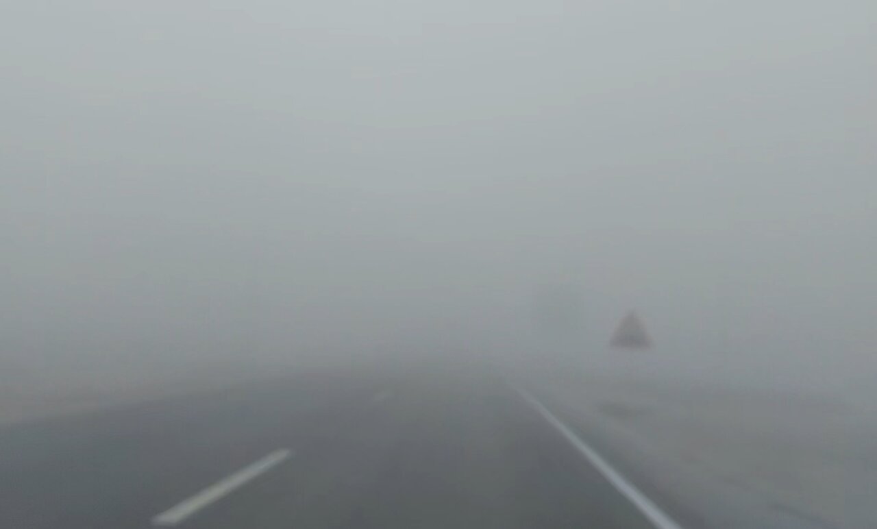 مه صبحگاهی باعث اختلال در راه‌های استان بوشهر شد
