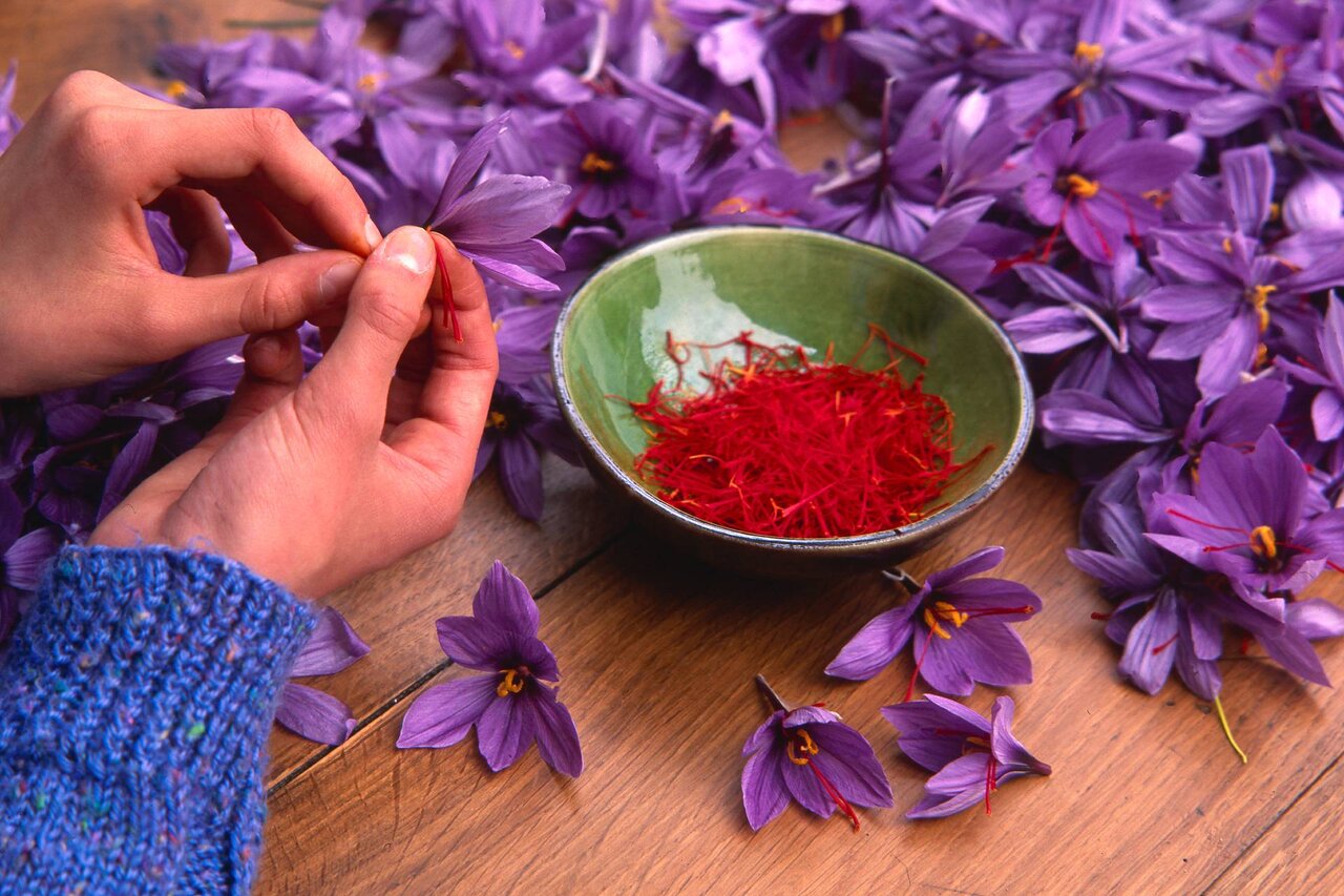 Why Iranian Saffron the most valuable spice in world?