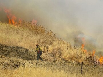 مدیریت مراتع پس از آتش‌سوزی با کمک محققان