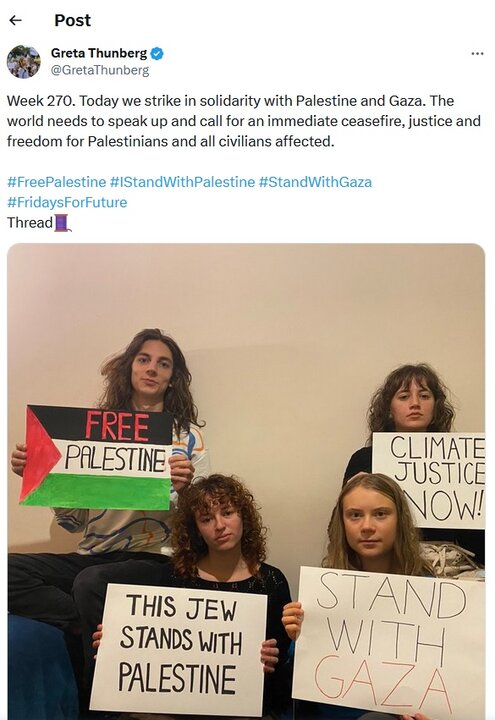 اعتصاب فعال محیط‌زیست سوئدی در حمایت از فلسطین