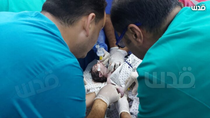 ۲۴۸ شهید و بیش از ۴۰۰ زخمی فلسطینی در ۲۴ ساعت گذشته