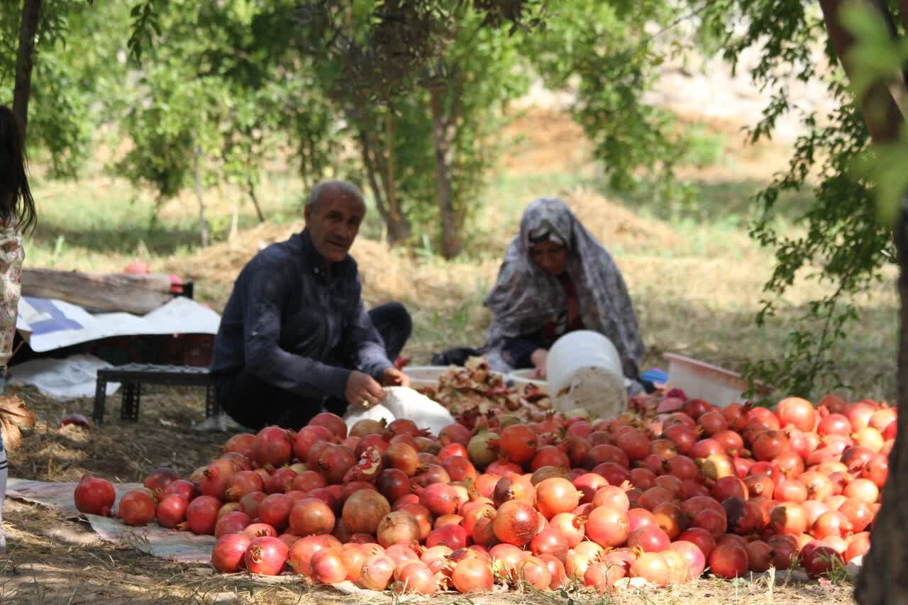 ویترینی از کشاورزی و گردشگری در جنوبیترین نقطه گیلان
