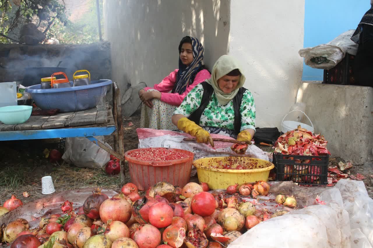 ویترینی از کشاورزی و گردشگری در جنوبیترین نقطه گیلان