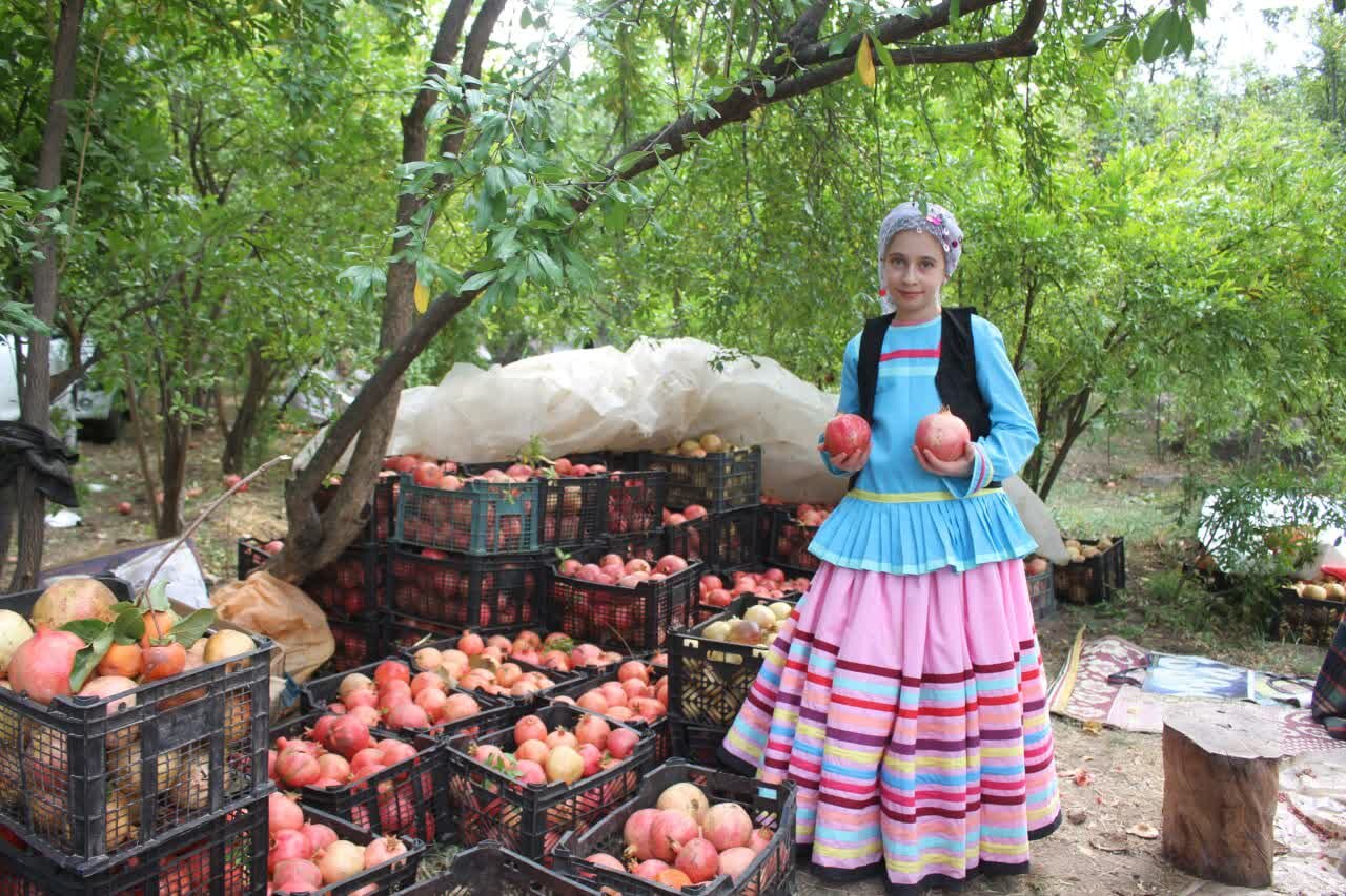 ویترینی از کشاورزی و گردشگری در جنوبیترین نقطه گیلان