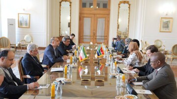 دیدار و گفت‌وگوی امیرعبداللهیان با وزیر خارجه آفریقای جنوبی