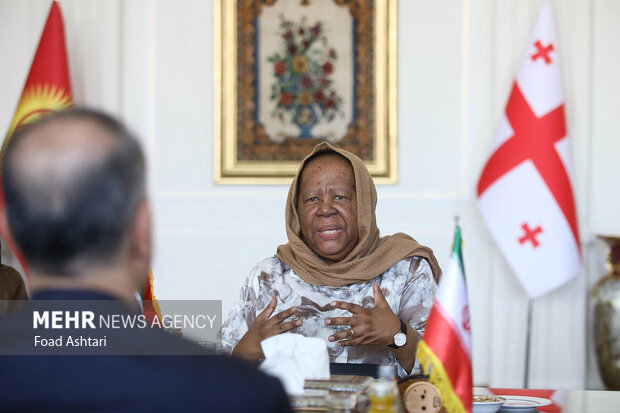 Top Iranian, South African diplomats meet in Tehran
