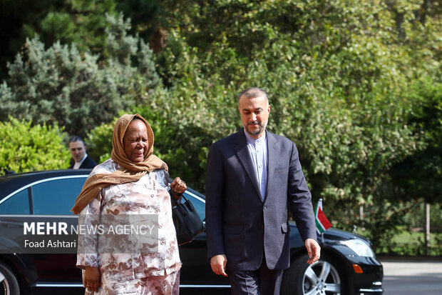 Top Iranian, South African diplomats meet in Tehran
