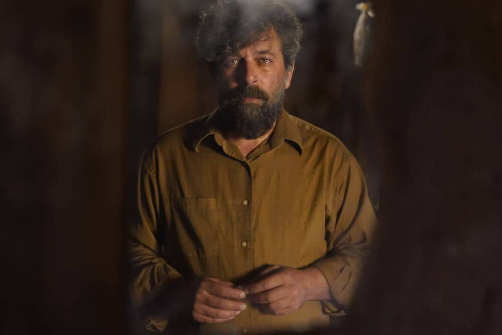 «شریف» به ایتالیا رفت/ «جاده موج میزند» دیپلم افتخار گرفت