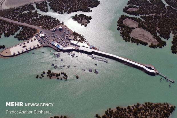 اقتصاد دریا از محورهای موثر در اشتغال و توسعه