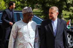 Meeting of Iran, Niger top diplomats in Tehran