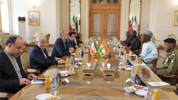 ایران اور نائجر کے وزرائے خارجہ کی ملاقات، دوطرفہ تعلقات کے فروغ پر اتفاق