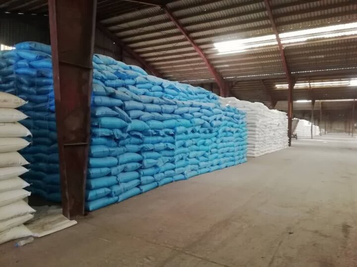 تأمین پایدار کود اوره در گلستان؛ کشاورزان نگران نباشند