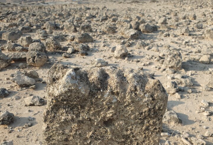 جاذبههای جزیره کوچک «شاخاب پارس»/ساحل صدفی و قلب آبی هندروابی