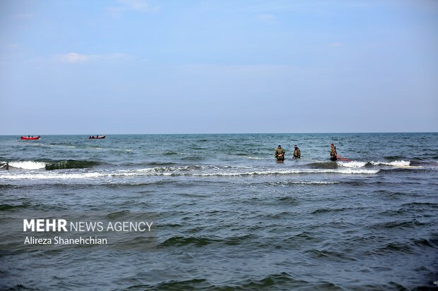 ساحلگردی در پهنه آبی گیلان؛ از جزیره رویایی سپیدرود تا جنگل و دریا