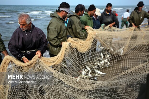 سریال ادامهدار مشکلات صید و صیادی/برای امرار معاش چند شغلهایم