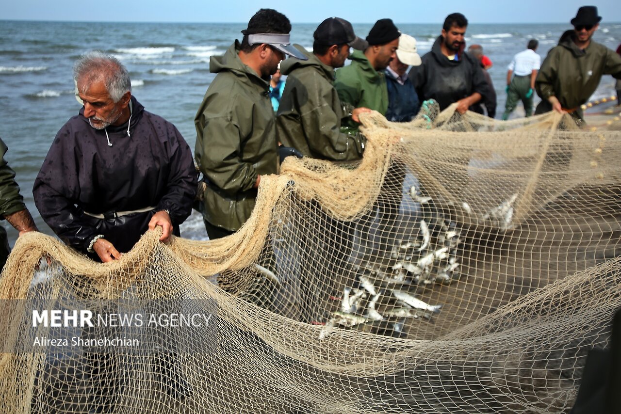 صیادان گیلانی گرفتار در تور مشکلات صیادان گیلانی گرفتار در تور مشکلات