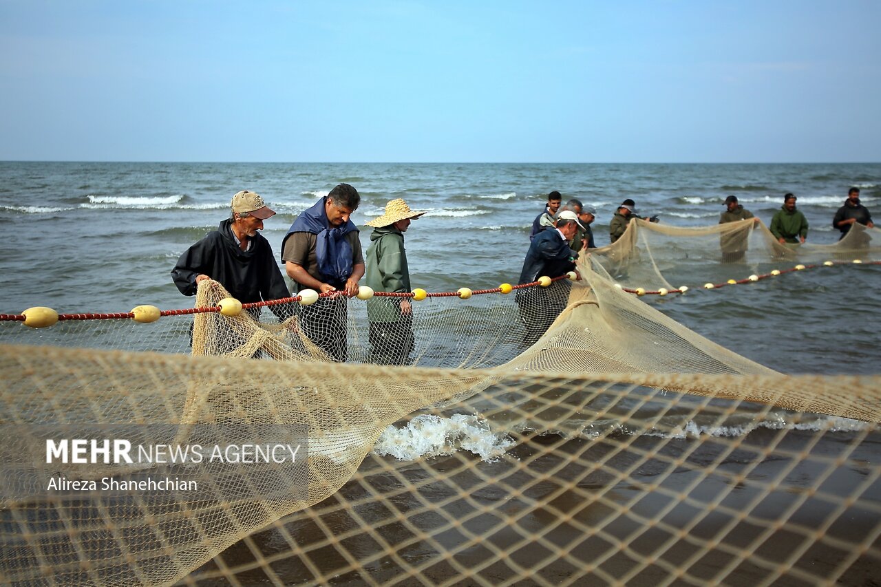 دست صیاد رو به آسمان است/ موج سواری روی وعده ها