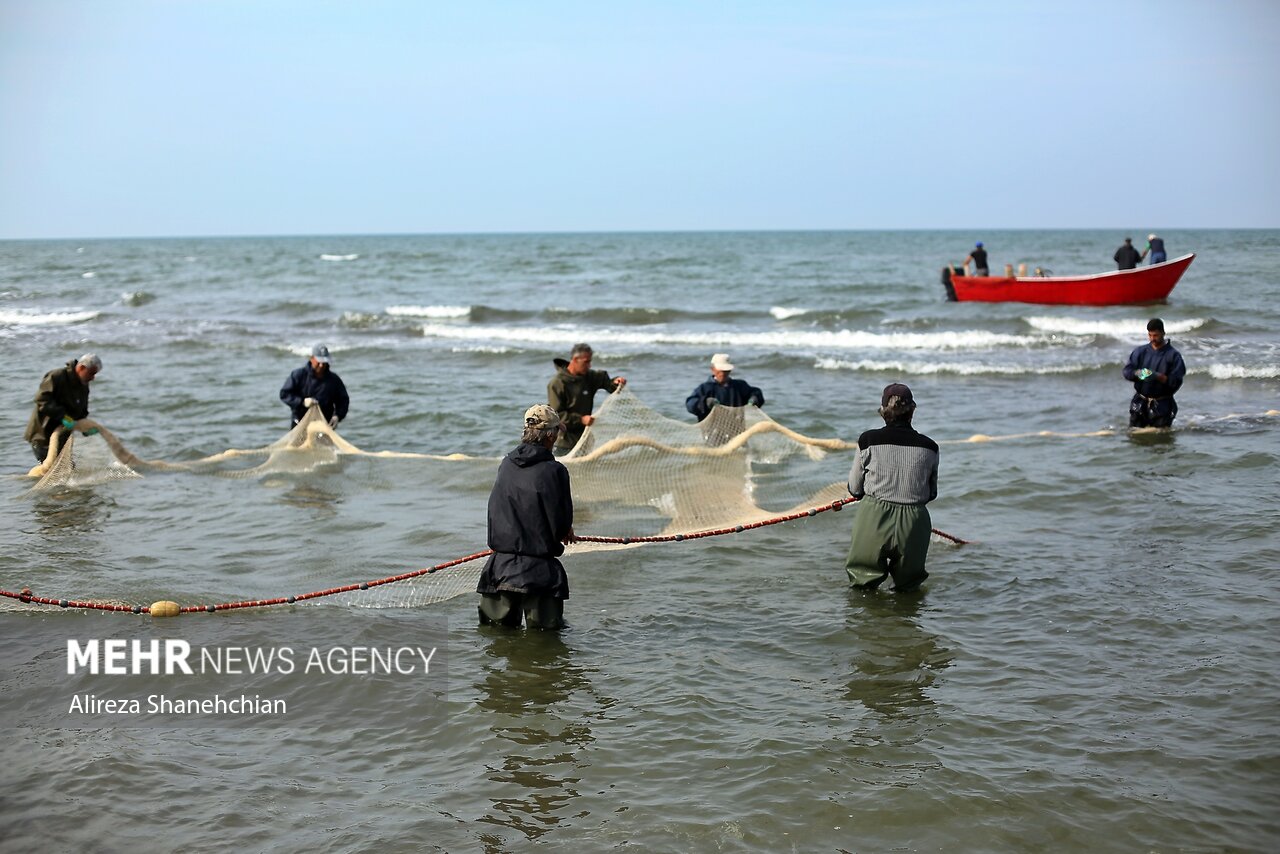دریای خزر تا ۳ روز آینده آرام است؛ شرایط مساعد برای صید و صیادی دریای خزر تا ۳ روز آینده آرام است؛ شرایط مساعد برای صید و صیادی