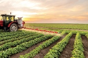 افزایش ۱۰ میلیون تنی تولیدات محصولات کشاورزی در دولت سیزدهم