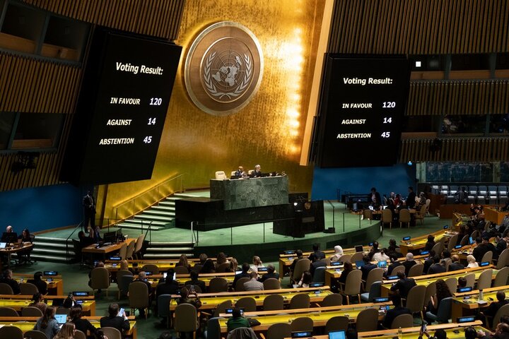 UNGA adopts resolution calling for humanitarian truce in Gaza