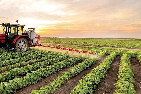 افزایش ۱۰ میلیون تنی تولیدات محصولات کشاورزی در دولت سیزدهم