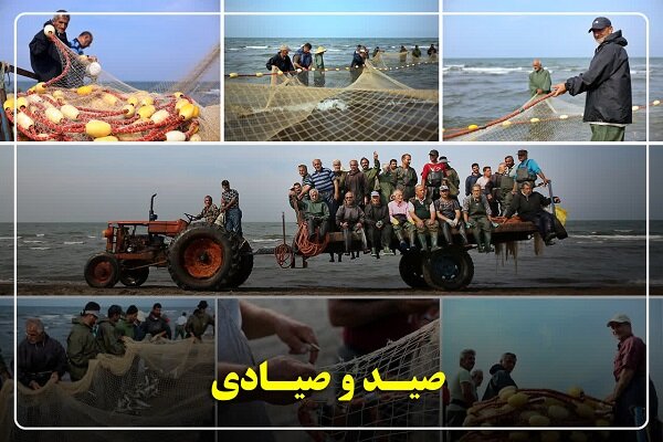 گیلان پیشتاز احیای ذخایر آبزی؛ صید ماهیان استخوانی ۴۰ درصد رشد کرد گیلان پیشتاز احیای ذخایر آبزی؛ صید ماهیان استخوانی ۴۰ درصد رشد کرد