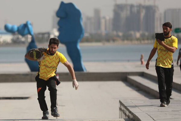 نفرات راه یافته به اردوی تیم ملی «استراگوس» مشخص شدند