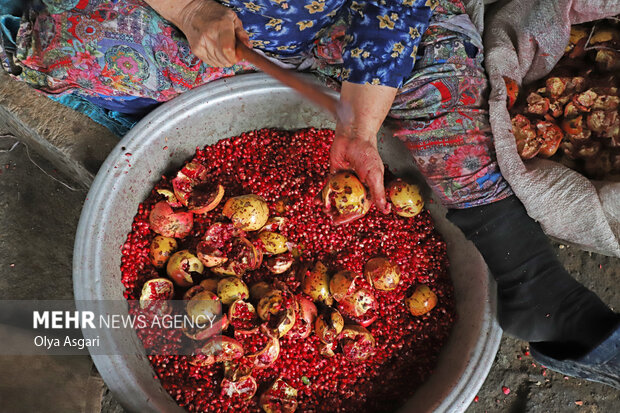 Gülistan eyaletinde kadınların ürettiği ev yapımı nar turşusu