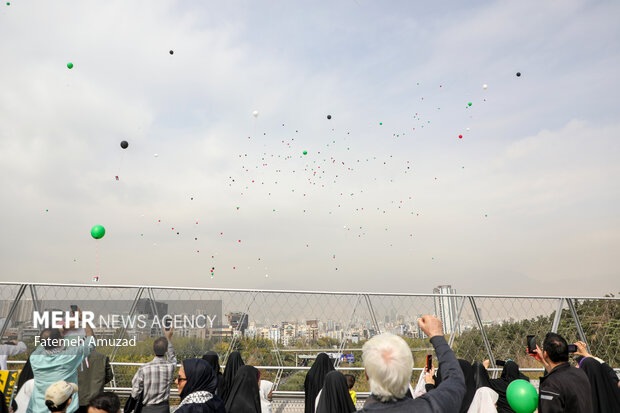 پویش دانش آموزی پرواز بادبادک‌ها به یاد آزادی، مقاومت و مظلومیت کودکان فلسطینی با حضور کودکان در بوستان آب و آتش برگزار شد