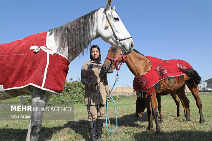 پنجمین جشنواره ملی زیبایی اسب اصیل ترکمن در علی آبادکتول
