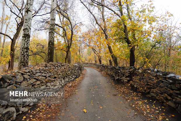 طبیعت پاییزی عباس آباد همدان