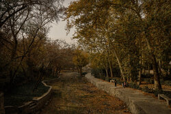 پاییز باغ وکیل آباد مشهد