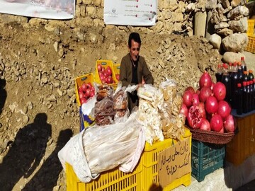 درخشش دانه‌های یاقوت در روستای دله مرز/سروآباد قطب تولید انار