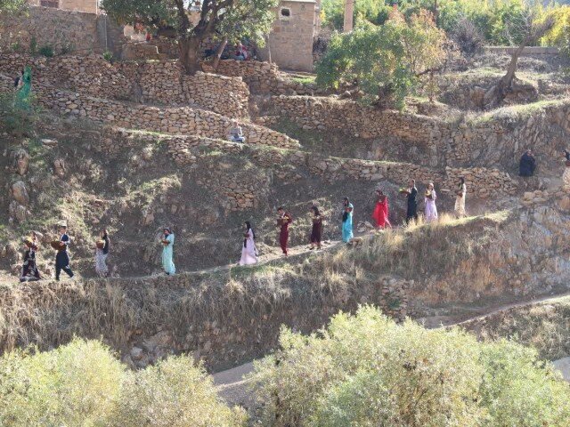 درخشش دانه‌های یاقوت در روستای دله مرز/سروآباد قطب تولید انار