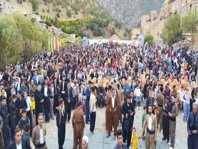 درخشش دانههای یاقوت در روستای دله مرز/سروآباد قطب تولید انار