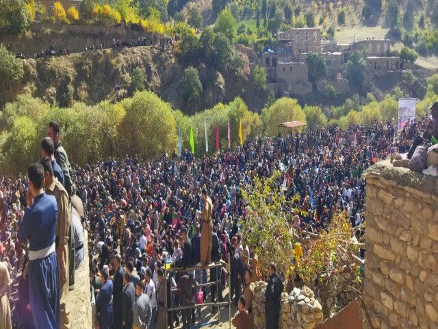 درخشش دانه‌های یاقوت در روستای دله مرز/سروآباد قطب تولید انار