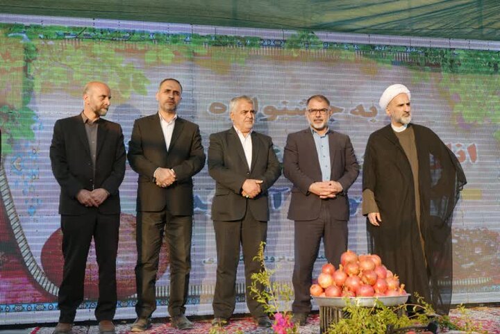 جشن برای انار بی برند و بینشان لرستان!