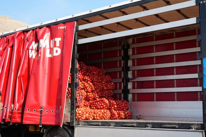 جشن برای انار بی برند و بینشان لرستان!