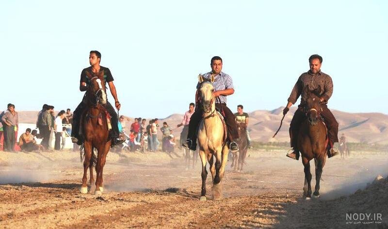 مسابقات سوارکاری اسب راهوار در گناباد برگزار شد